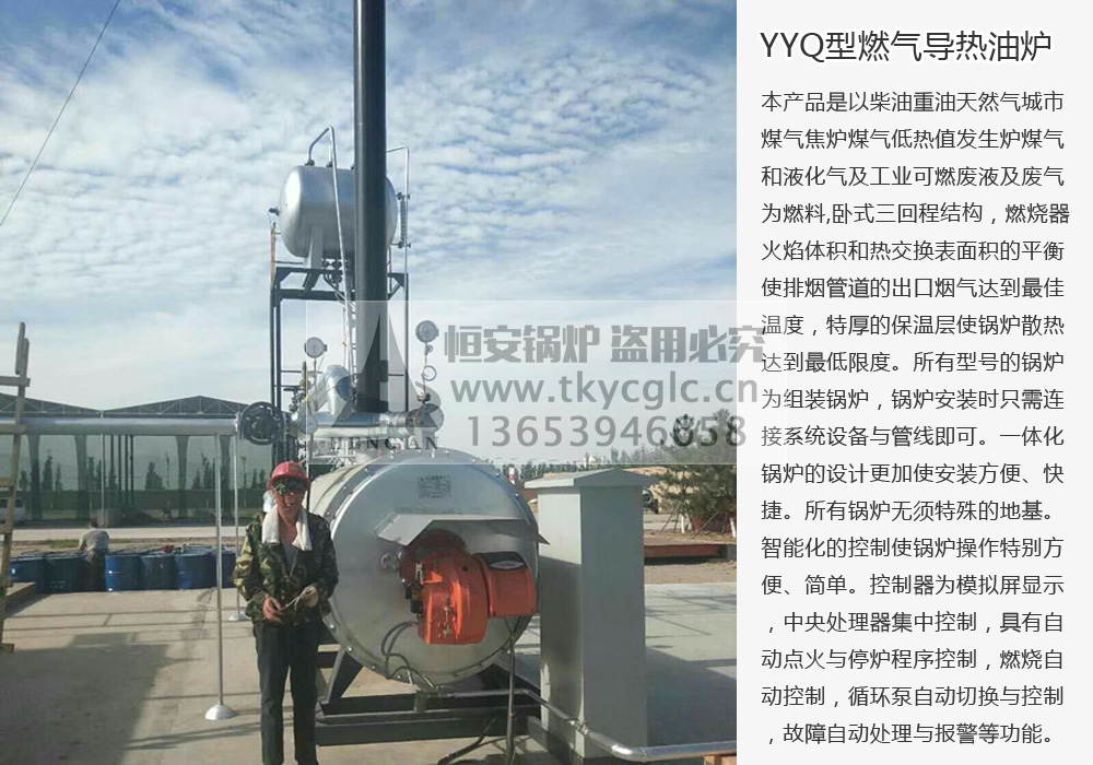 YYQ燃氣有機熱載體加熱爐安裝現場